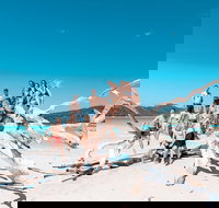 4 Day  3 Night Whitsunday Islands  Outer Reef Sailing Adventure on Condor - Foster Accommodation