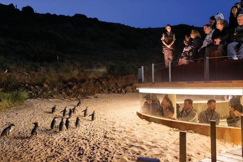 Wilson's Promontory & Phillip Island - 'Prom & Penguins' Tour - Foster Accommodation 3