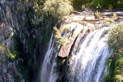 Byron Bay Combo: Hinterland Tour Including Minyon Falls And Kayaking With Dolphins - Foster Accommodation 3