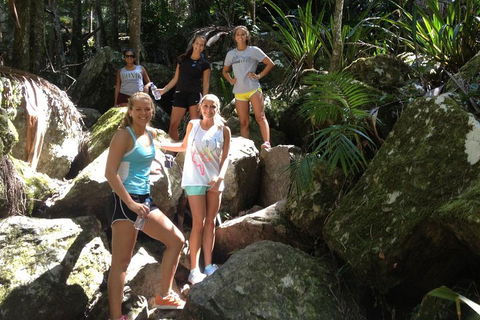 Byron Bay Combo: Hinterland Tour Including Minyon Falls And Kayaking With Dolphins - Foster Accommodation 4