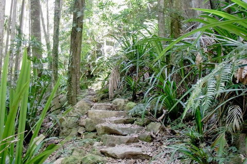 Byron Bay Combo: Minyon Falls And Hinterland Day Trip And Learn To Surf At Byron Bay - Foster Accommodation 3