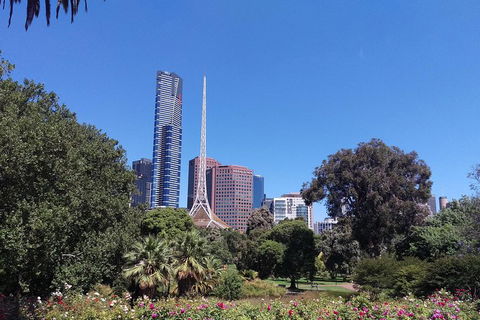Melbourne City Private Tour - Foster Accommodation 5