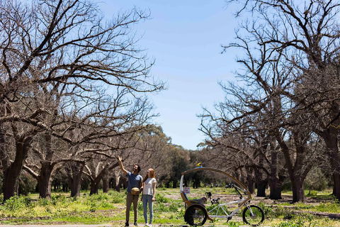 Adelaide 90-Minute Pedicab Tour: Scenic Green & River Experience - Foster Accommodation 1