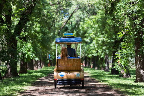 Adelaide 90-Minute Pedicab Tour: Scenic Green & River Experience - Foster Accommodation 2