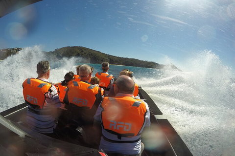 Noosa Thriller - 500hp Ocean Adventure Ride - Foster Accommodation 3