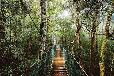 O'Reilly's & Lamington National Park From Gold Coast - Foster Accommodation 0