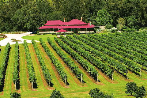 O'Reilly's & Lamington National Park From Gold Coast - Foster Accommodation 2