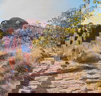 Kings Canyon Day Trip from Ayers Rock Uluru - Foster Accommodation