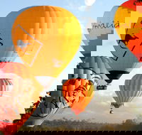 Natural Bridge  Springbrook Waterfalls Tour  Hot Air Balloon with Breakfast - Foster Accommodation