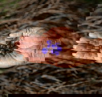 Cape Byron Aboriginal Tour - Foster Accommodation