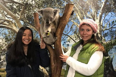 Australia Multi-City Attractions Pass - Foster Accommodation 3