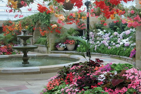 Hobart Half-Day Sightseeing Coach Tram Tour - Foster Accommodation 3