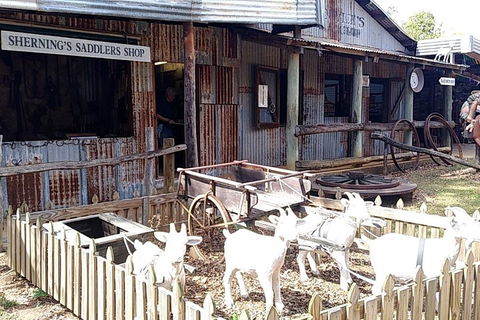 Full Day Atherton Tablelands Tour From Cairns - Foster Accommodation 4