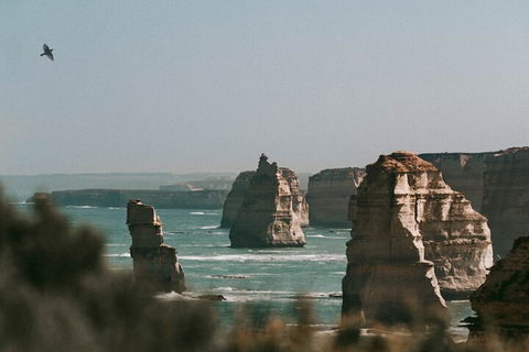 Half-Day Or Full-Day Tour With Private Guide From Melbourne - Foster Accommodation 0