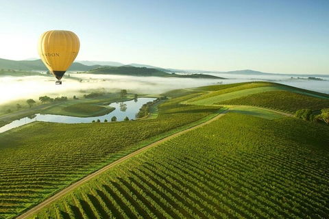 Half-Day Or Full-Day Tour With Private Guide From Melbourne - Foster Accommodation 4