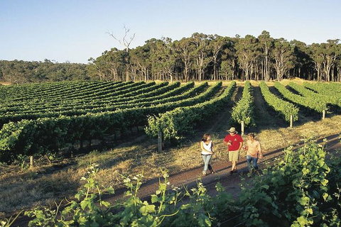2-Day Margaret River Wine Experience From Perth - Foster Accommodation 3