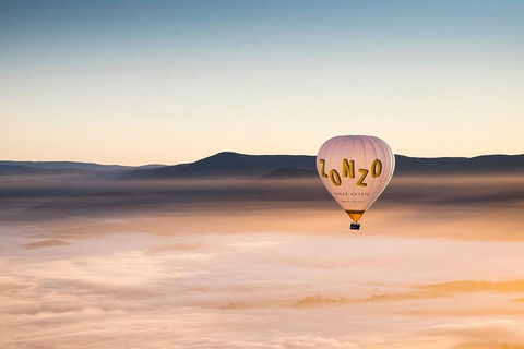 Yarra Valley Balloon Flight And Winery Tour - Foster Accommodation 1