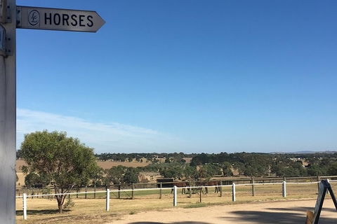 Legends & Champions Tour - Foster Accommodation 5