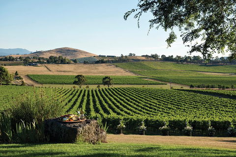 Yarra Valley 2-6 Guests Premium Food And Wine Inc Lunch At Dominique Portet - Foster Accommodation 2