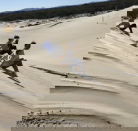 Port Stephens Bush Beach and Sand Dune 4WD Tag-Along Tour - Foster Accommodation