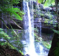 Mt Field National Park and Russell Falls from Hobart