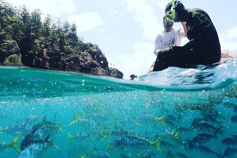 2 Night Small Group Whitsundays Sailing Adventure Aboard Mandrake - Foster Accommodation 5