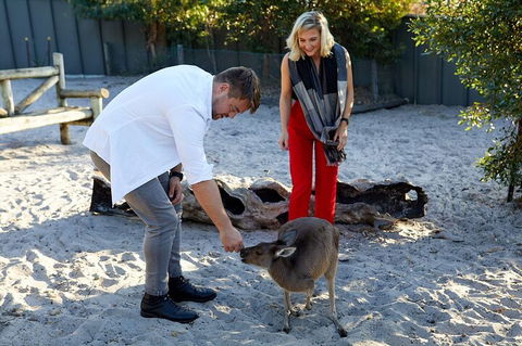 Albany's Whale Story - Foster Accommodation 1