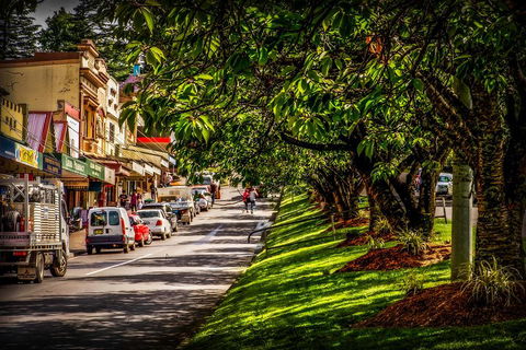Fully Inclusive Blue Mountains Private Tour Inc Scenic World & Featherdale Entry - Foster Accommodation 0
