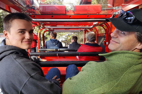 Fully Inclusive Blue Mountains Private Tour Inc Scenic World & Featherdale Entry - Foster Accommodation 1