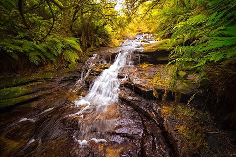 Fully Inclusive Blue Mountains Private Tour Inc Scenic World & Featherdale Entry - Foster Accommodation 3