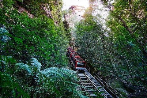 Fully Inclusive Blue Mountains Private Tour Inc Scenic World & Featherdale Entry - Foster Accommodation 4