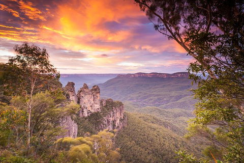 Fully Inclusive Blue Mountains Private Tour Inc Scenic World & Featherdale Entry - Foster Accommodation 5