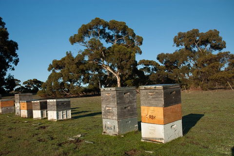 Fine Flavours - Full Day Kangaroo Island Food & Wine Tour - Foster Accommodation 1
