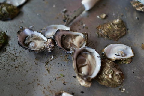 Fine Flavours - Full Day Kangaroo Island Food & Wine Tour - Foster Accommodation 2