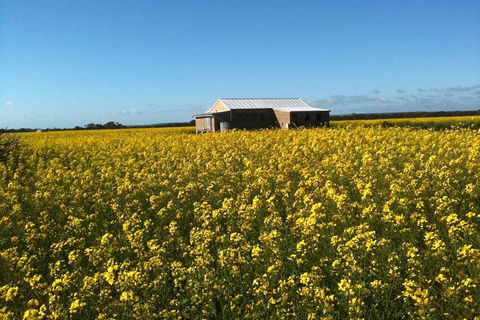 Fine Flavours - Full Day Kangaroo Island Food & Wine Tour - Foster Accommodation 3