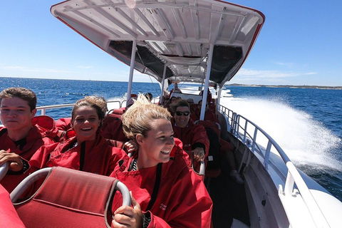 Adventure Rottnest Tour With Ferry & Adventure Cruise From Perth Or Fremantle - Foster Accommodation 0