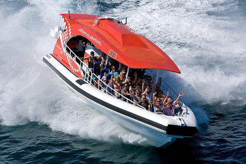 Adventure Rottnest Tour With Ferry & Adventure Cruise From Perth Or Fremantle - Foster Accommodation 2