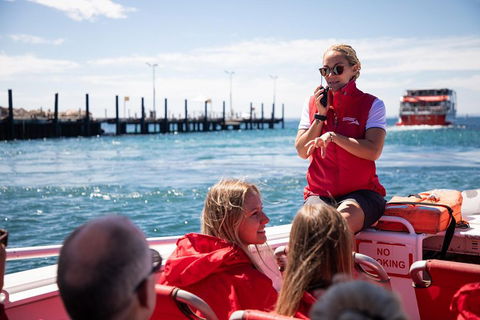 Adventure Rottnest Tour With Ferry & Adventure Cruise From Perth Or Fremantle - Foster Accommodation 4
