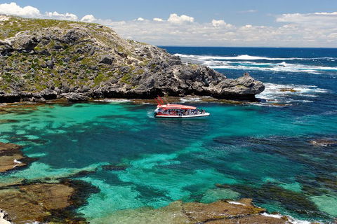 Adventure Rottnest Tour With Ferry & Adventure Cruise From Perth Or Fremantle - Foster Accommodation 5