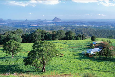 Full Day Sunshine Coast Hinterland Luxury Small Group Tour From Brisbane - Foster Accommodation 2
