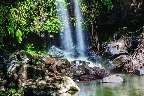 Full Day Small Group Luxury Tour To Tamborine Mountain - Foster Accommodation 0