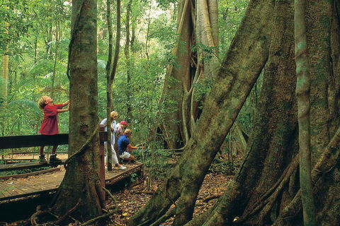 Full Day Small Group Luxury Tour To Tamborine Mountain - Foster Accommodation 1