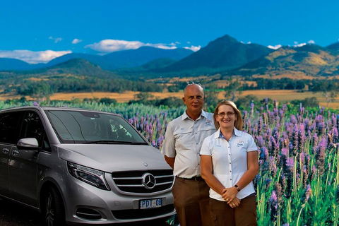 Full Day Small Group Luxury Tour To Tamborine Mountain - Foster Accommodation 3