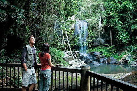 Full Day Small Group Luxury Tour To Tamborine Mountain - Foster Accommodation 4