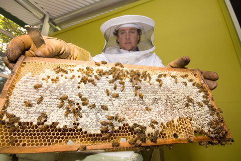 The Ginger Factory Play, Taste & Discover Bundle Admission Ticket - Foster Accommodation 2