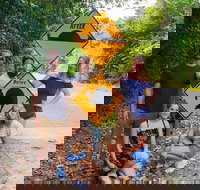 Cape Tribulation Daintree Rainforest and Wildlife Tour - Foster Accommodation