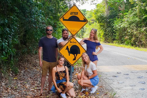 Cape Tribulation, Daintree Rainforest And Wildlife Tour - Foster Accommodation 0