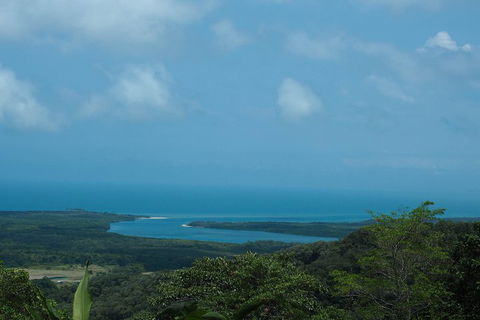Cape Tribulation, Daintree Rainforest And Wildlife Tour - Foster Accommodation 1