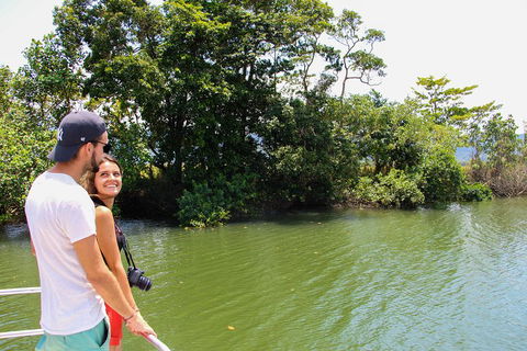 Cape Tribulation, Daintree Rainforest And Wildlife Tour - Foster Accommodation 2