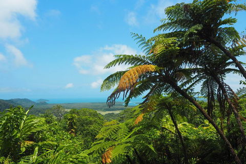 Cape Tribulation, Daintree Rainforest And Wildlife Tour - Foster Accommodation 3